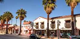 Palm Springs - Adrienne Kessler Realtor communities